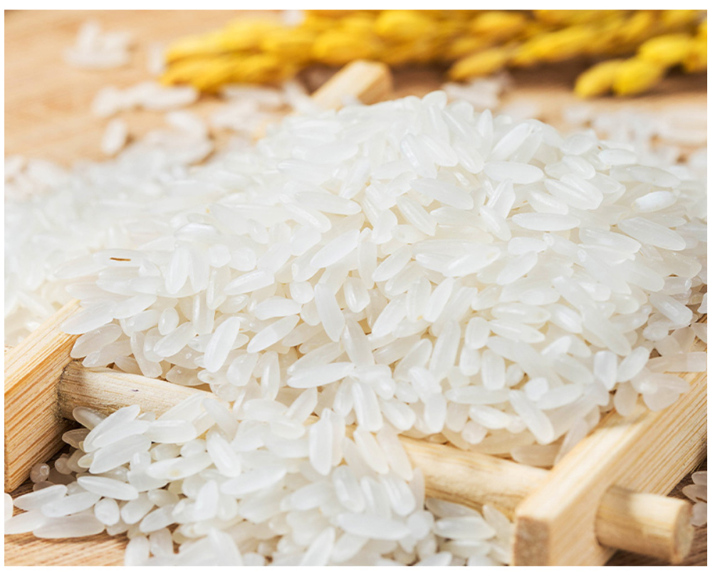 赣米鄱源鄱阳湖莲湖油粘米5kg大米长粒香米细腻软香南方一级大米